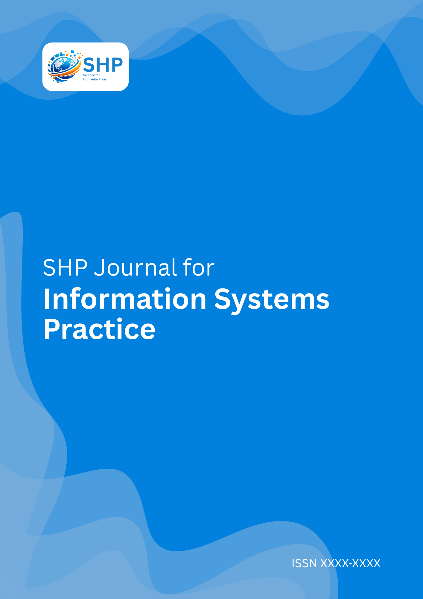 Information Systems Practice